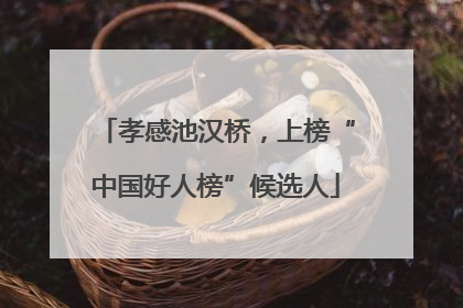 孝感池汉桥，上榜“中国好人榜”候选人