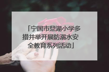 宁国市鼎湖小学多措并举开展防溺水安全教育系列活动
