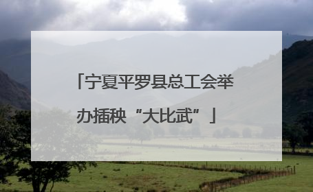 宁夏平罗县总工会举办插秧“大比武”