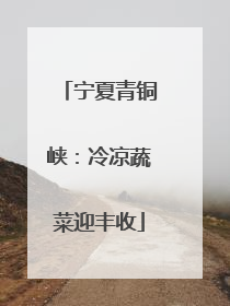 宁夏青铜峡：冷凉蔬菜迎丰收