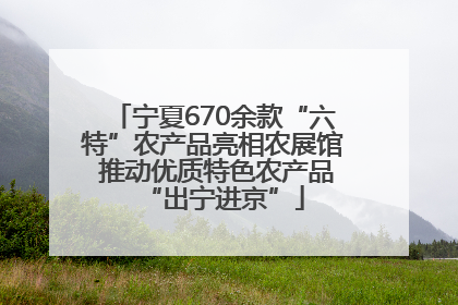 宁夏670余款“六特”农产品亮相农展馆 推动优质特色农产品“出宁进京”