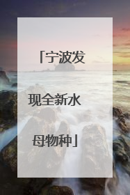 宁波发现全新水母物种