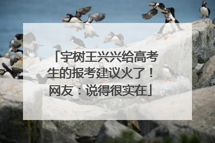 宇树王兴兴给高考生的报考建议火了！网友：说得很实在