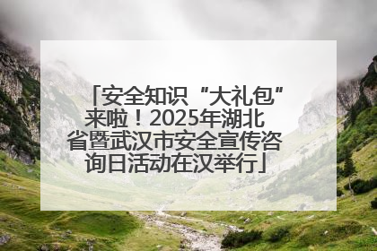 安全知识“大礼包”来啦！2025年湖北省暨武汉市安全宣传咨询日活动在汉举行