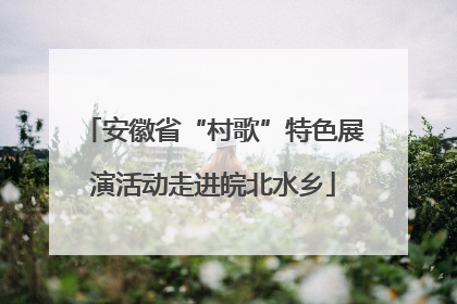 安徽省“村歌”特色展演活动走进皖北水乡