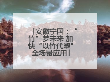 安徽宁国：“竹”梦未来 加快“以竹代塑”全场景应用