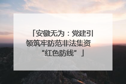 安徽无为：党建引领筑牢防范非法集资“红色防线”