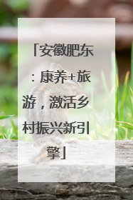 安徽肥东：康养+旅游，激活乡村振兴新引擎