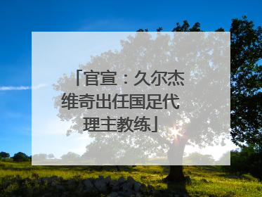 官宣：久尔杰维奇出任国足代理主教练