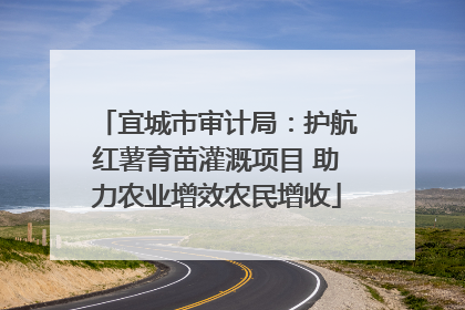 宜城市审计局：护航红薯育苗灌溉项目 助力农业增效农民增收