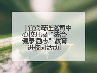 宜宾筠连巡司中心校开展“法治·健康·励志”教育进校园活动