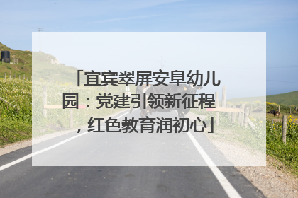 宜宾翠屏安阜幼儿园：党建引领新征程，红色教育润初心