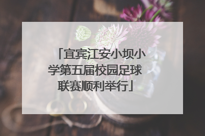 宜宾江安小坝小学第五届校园足球联赛顺利举行