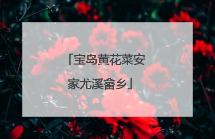 宝岛黄花菜安家尤溪畲乡