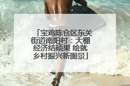 宝鸡陈仓区东关街道南阳村：大棚经济结硕果 绘就乡村振兴新图景