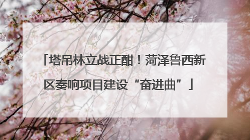 塔吊林立战正酣！菏泽鲁西新区奏响项目建设“奋进曲”