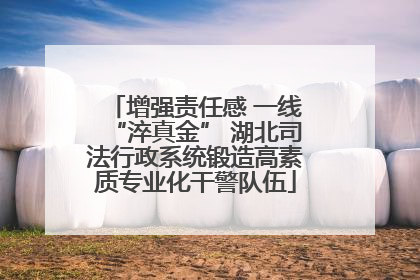 增强责任感 一线“淬真金” 湖北司法行政系统锻造高素质专业化干警队伍