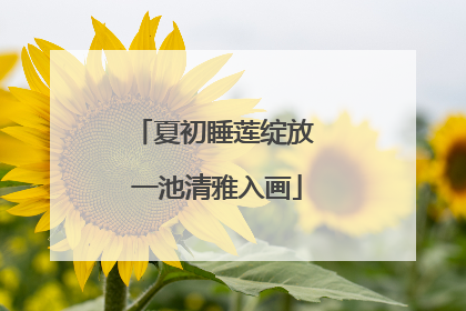 夏初睡莲绽放 一池清雅入画