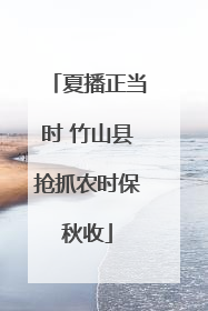 夏播正当时 竹山县抢抓农时保秋收