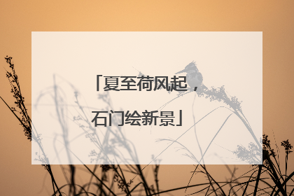 夏至荷风起，石门绘新景