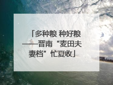 多种粮 种好粮——晋南“麦田夫妻档”忙夏收