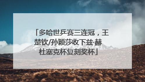多哈世乒赛三连冠，王楚钦/孙颖莎收下兹·赫杜塞克杯复刻奖杯