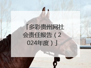 多彩贵州网社会责任报告（2024年度）