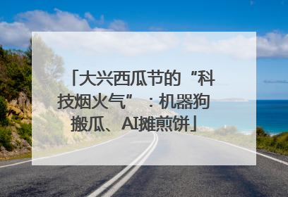 大兴西瓜节的“科技烟火气”：机器狗搬瓜、AI摊煎饼