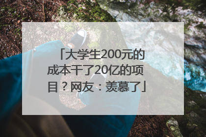 大学生200元的成本干了20亿的项目？网友：羡慕了