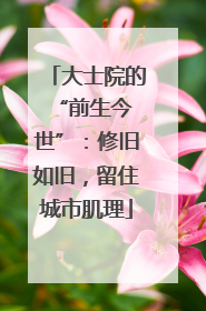大士院的 “前生今世”：修旧如旧，留住城市肌理