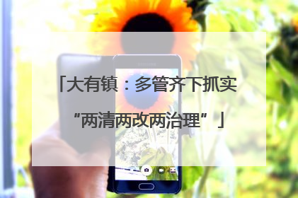 大有镇：多管齐下抓实“两清两改两治理”