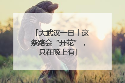 大武汉一日丨这条路会“开花”，只在晚上有