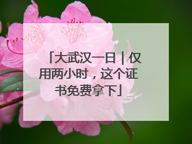 大武汉一日｜仅用两小时，这个证书免费拿下