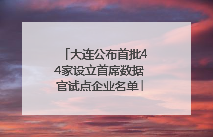 大连公布首批44家设立首席数据官试点企业名单