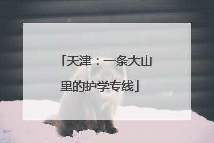天津：一条大山里的护学专线