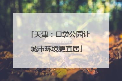天津：口袋公园让城市环境更宜居