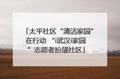 太平社区“清洁家园”在行动 “i武汉i家园”志愿者扮靓社区