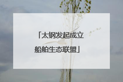 太钢发起成立船舶生态联盟