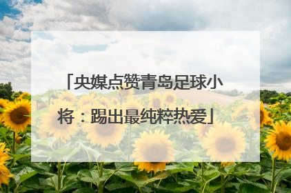 央媒点赞青岛足球小将：踢出最纯粹热爱