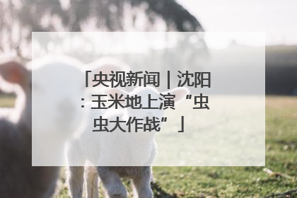 央视新闻｜沈阳：玉米地上演“虫虫大作战”