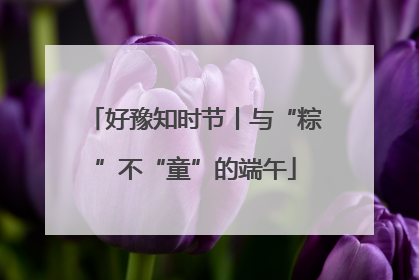 好豫知时节丨与“粽”不“童”的端午