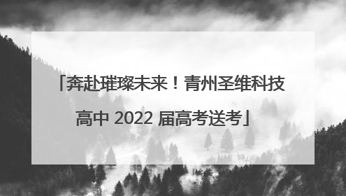 奔赴璀璨未来！青州圣维科技高中 2022 届高考送考
