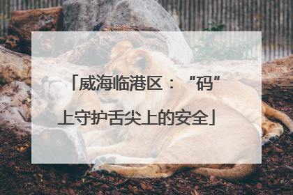 威海临港区：“码”上守护舌尖上的安全