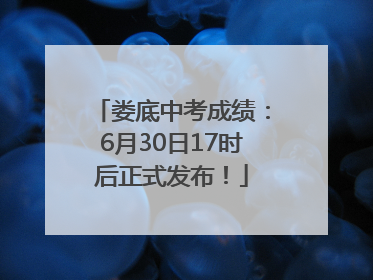 娄底中考成绩：6月30日17时后正式发布！