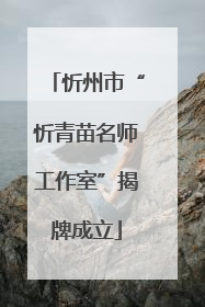 忻州市“忻青苗名师工作室”揭牌成立