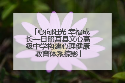 心向阳光 幸福成长—日照莒县文心高级中学构建心理健康教育体系掠影
