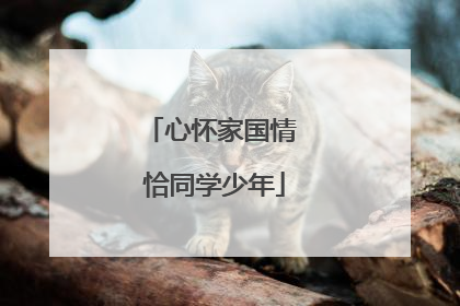 心怀家国情 恰同学少年