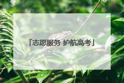 志愿服务 护航高考