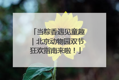 当粽香遇见童趣｜北京动物园双节狂欢指南来啦！