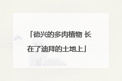 德兴的多肉植物 长在了迪拜的土地上
